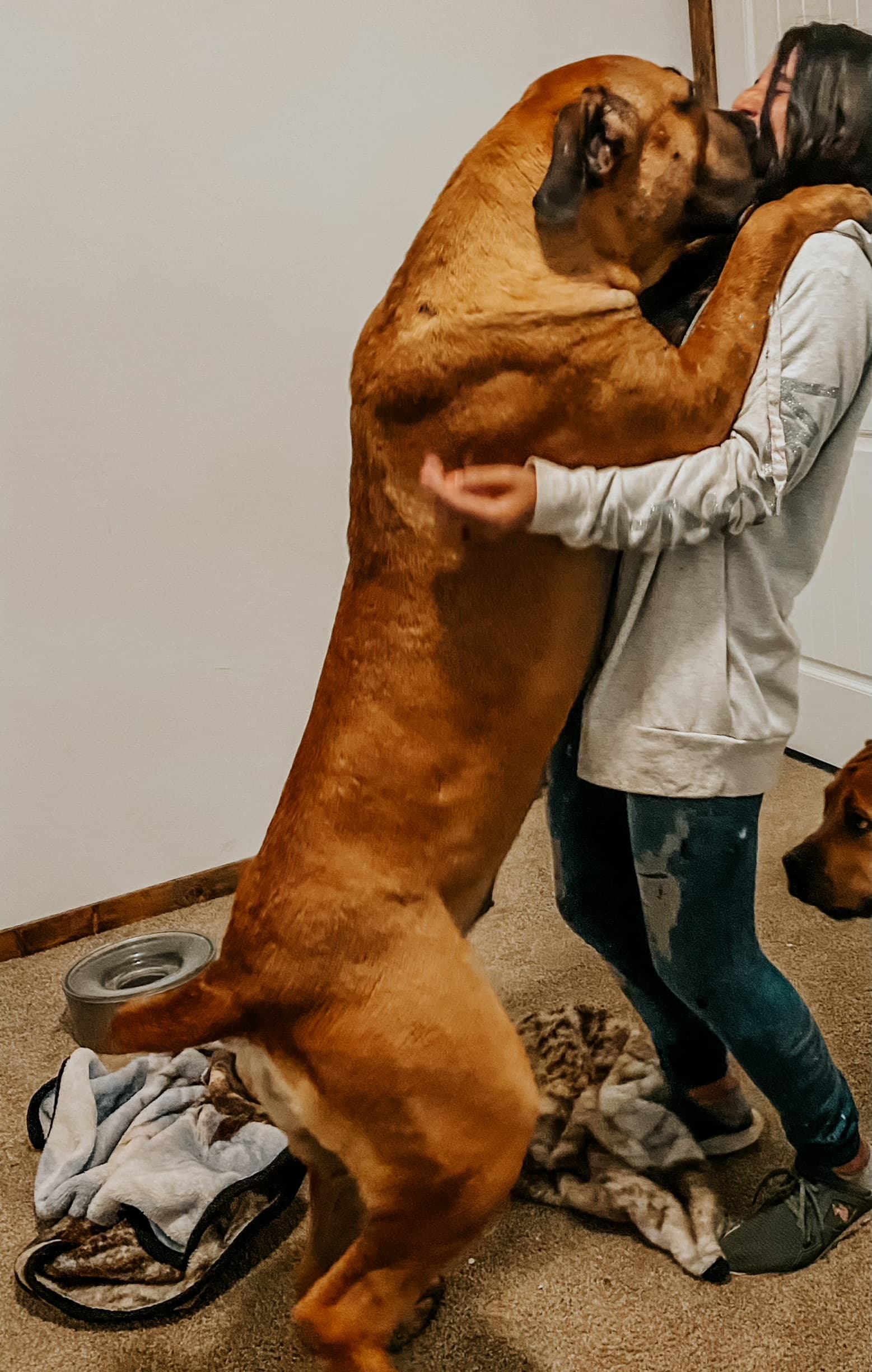 Afrika Zimbie - Photo 4