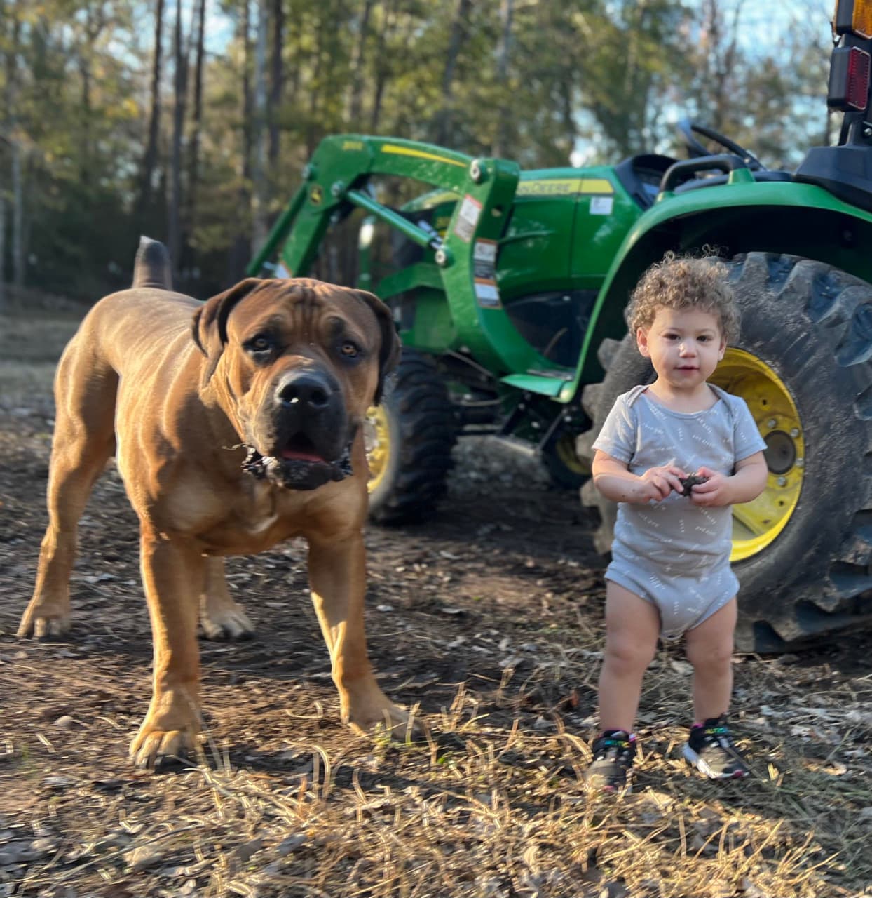 Peterbuilt Hakeem - Photo 2