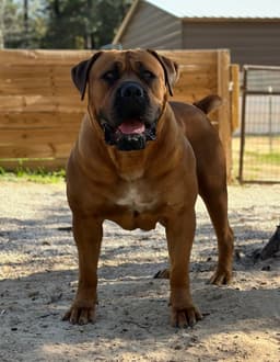 Klein Sandfontein Balita