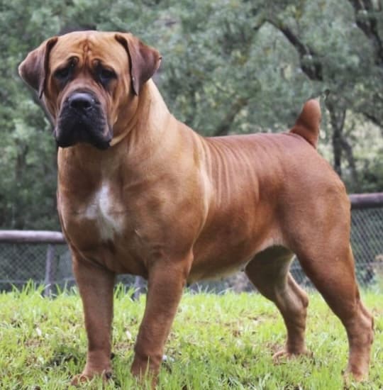 Klein Sandfontein Balita - Photo 2