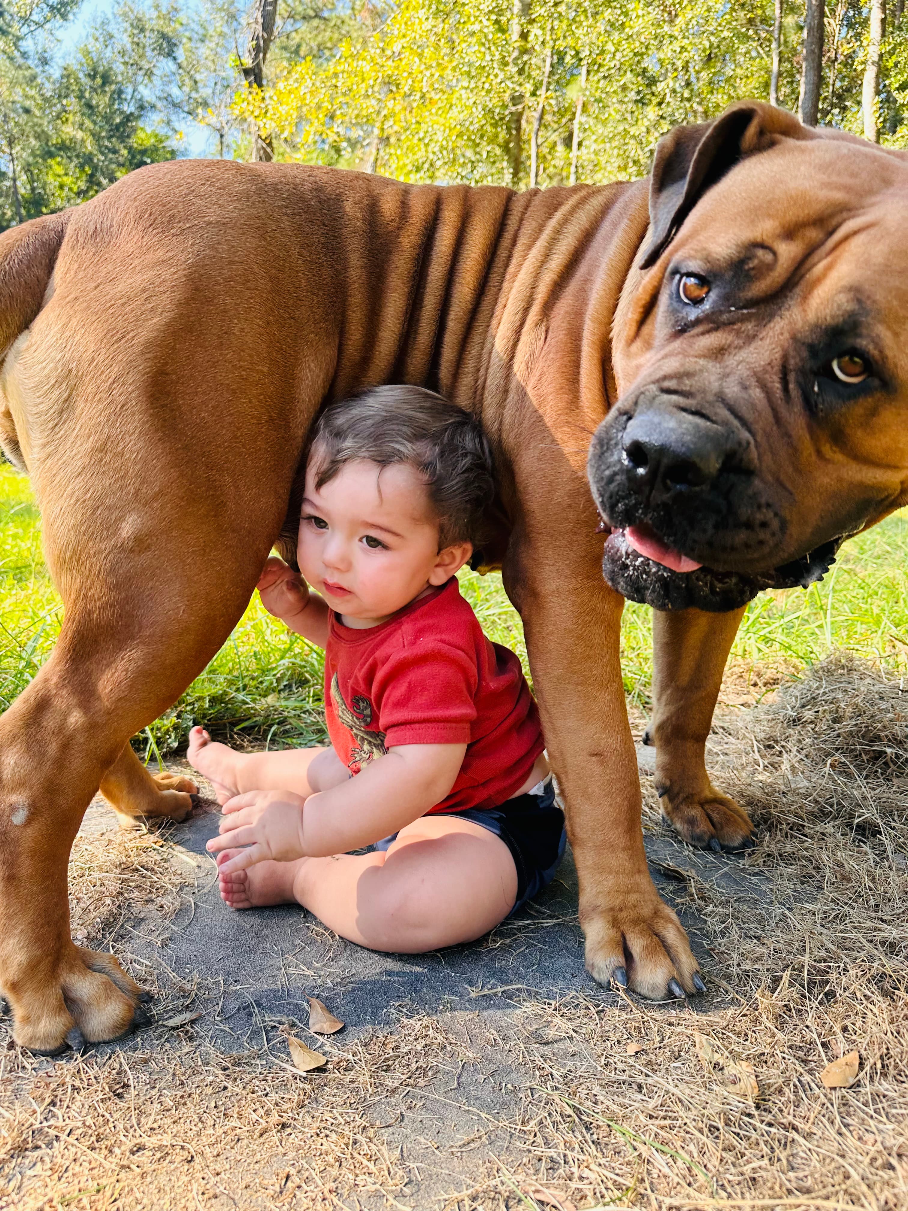 Klein Sandfontein Balita - Photo 3