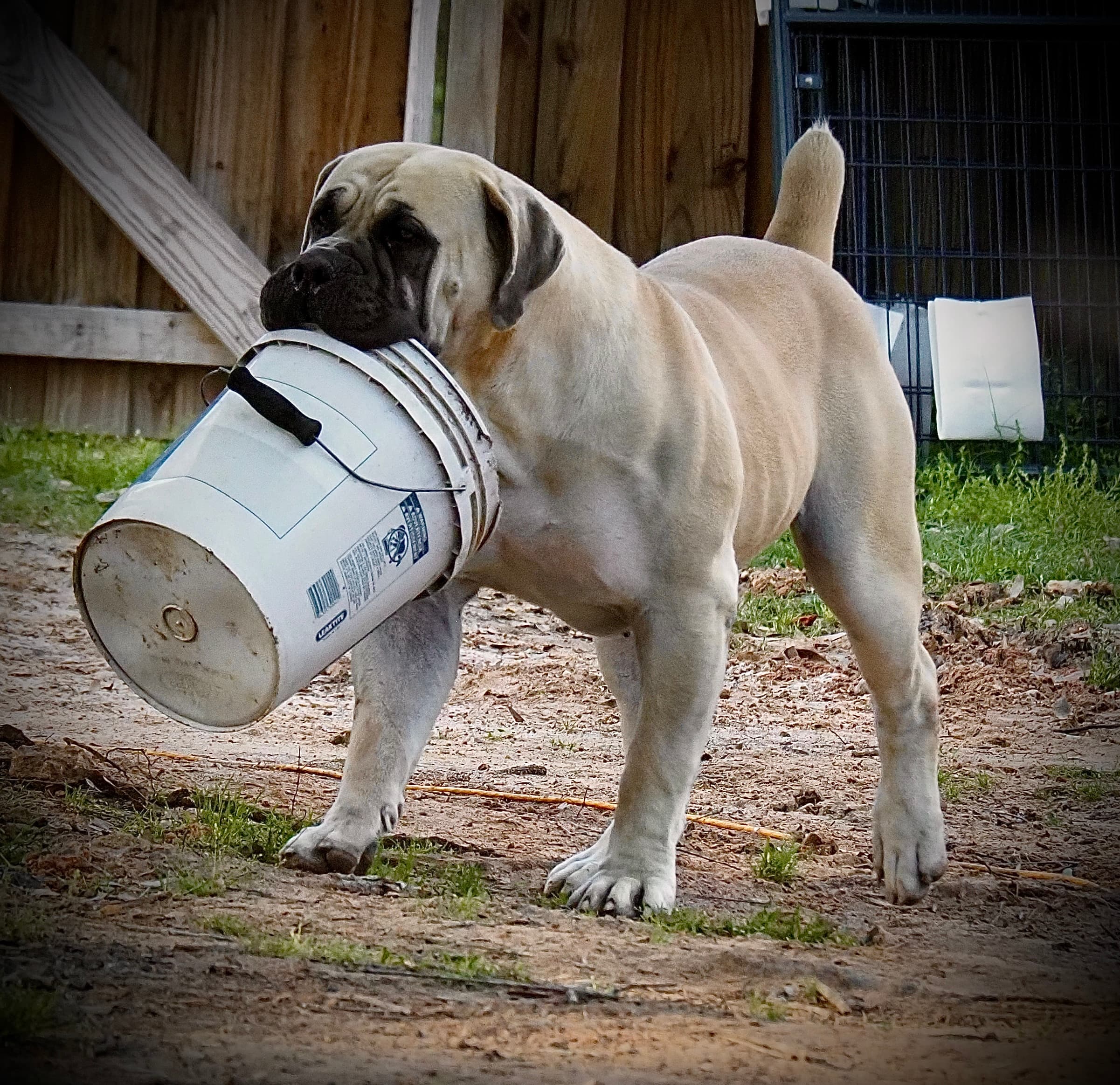 Brandvlei Marino - Photo 2