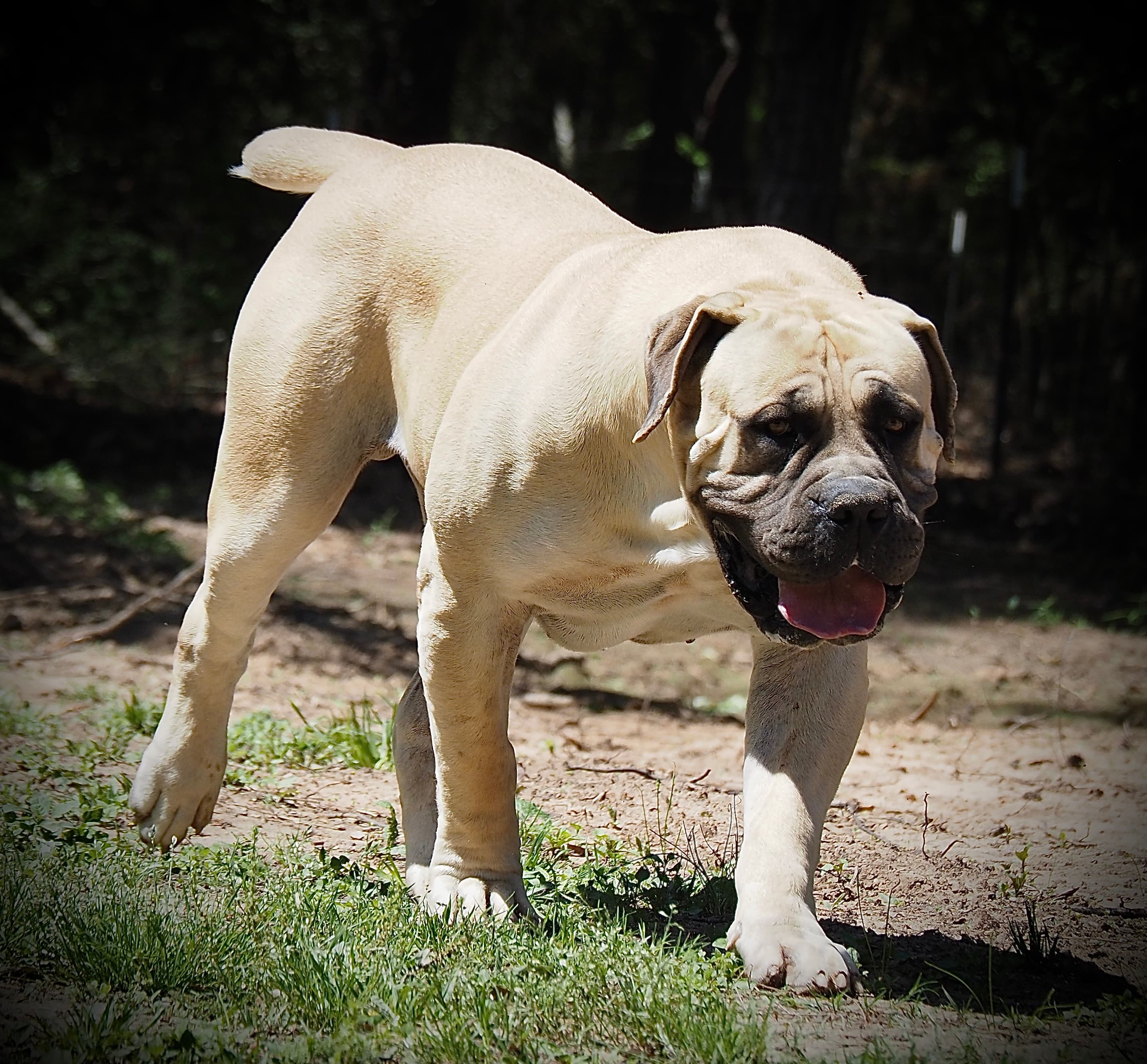 Brandvlei Marino - Photo 3