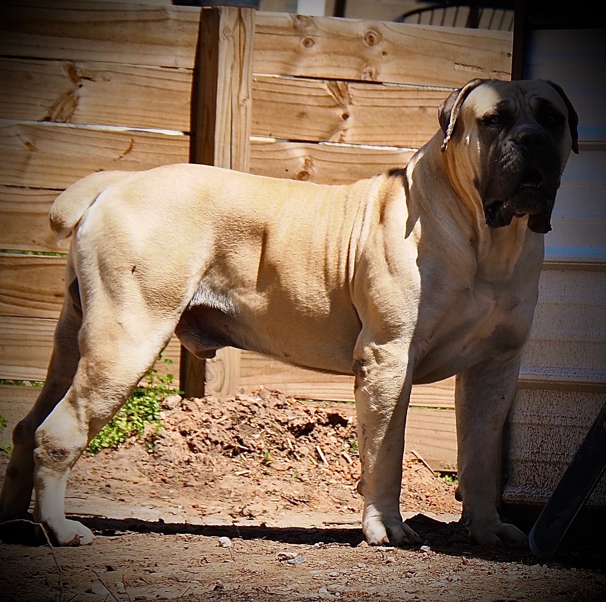 Brandvlei Marino - Photo 4