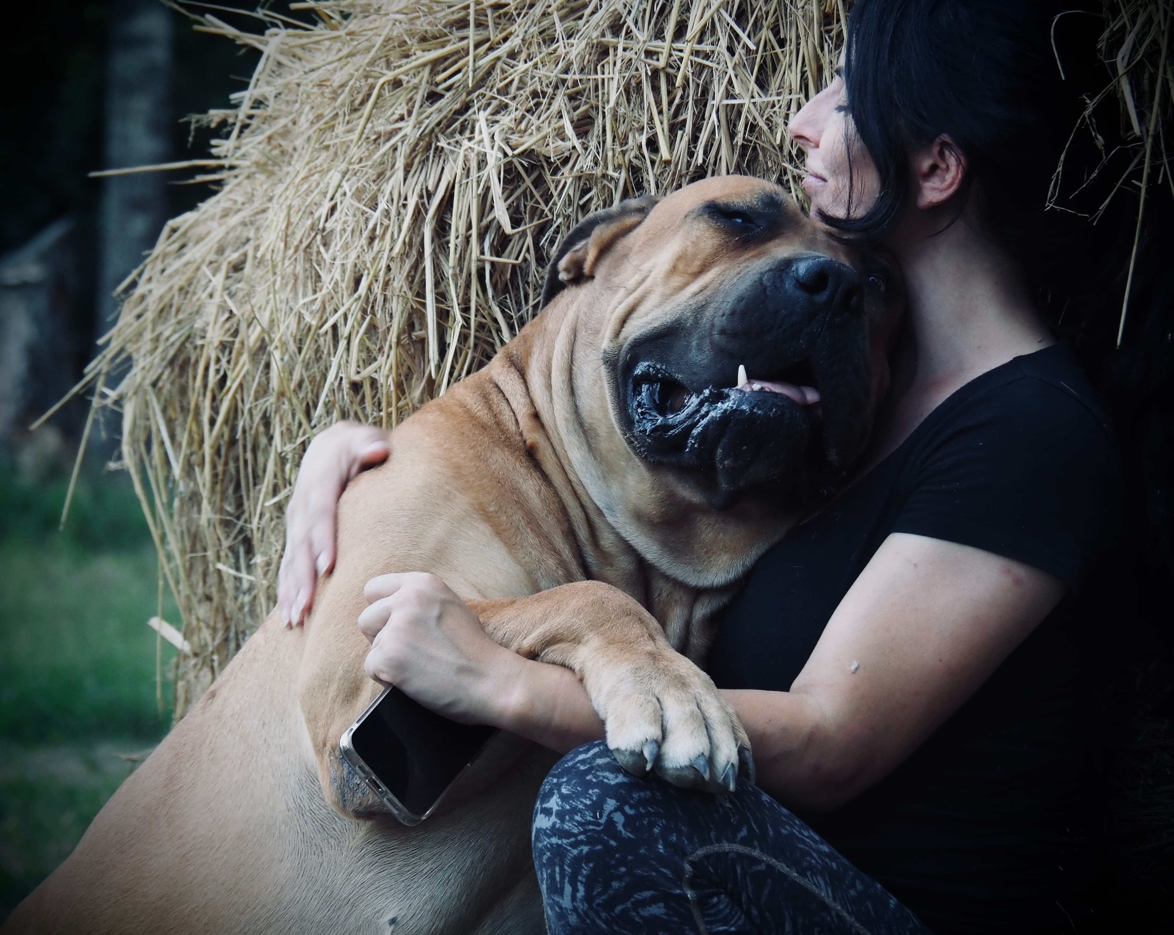 Bostu Sunny Cool - Photo 2